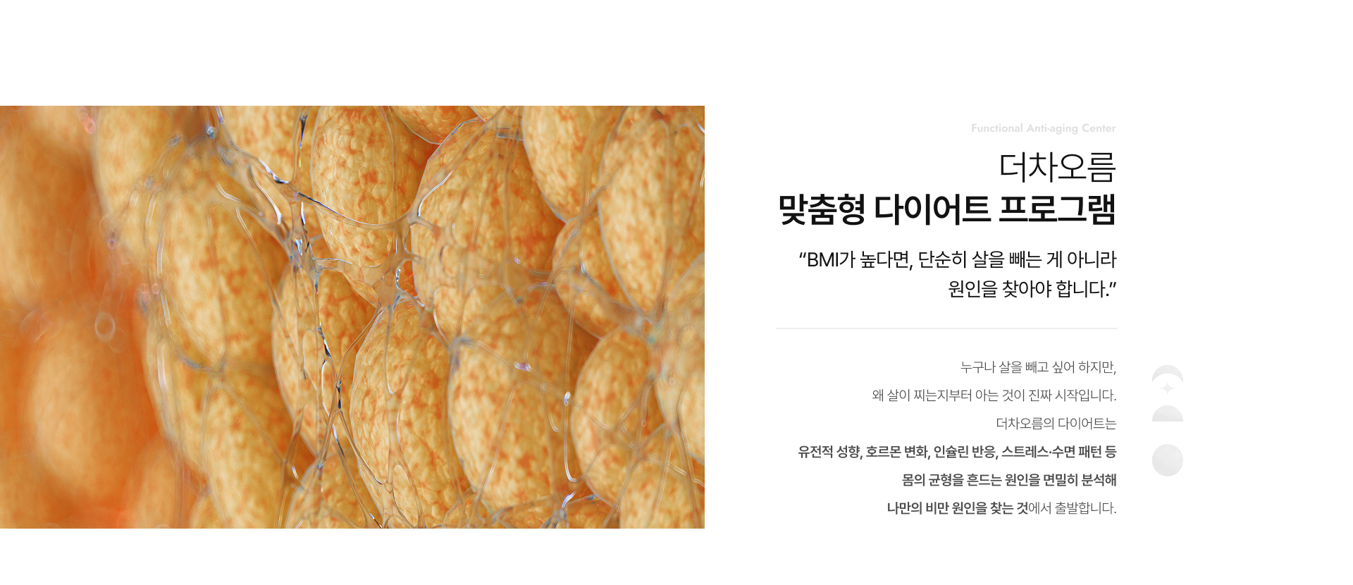 맞춤형다이어트프로그램 상세01