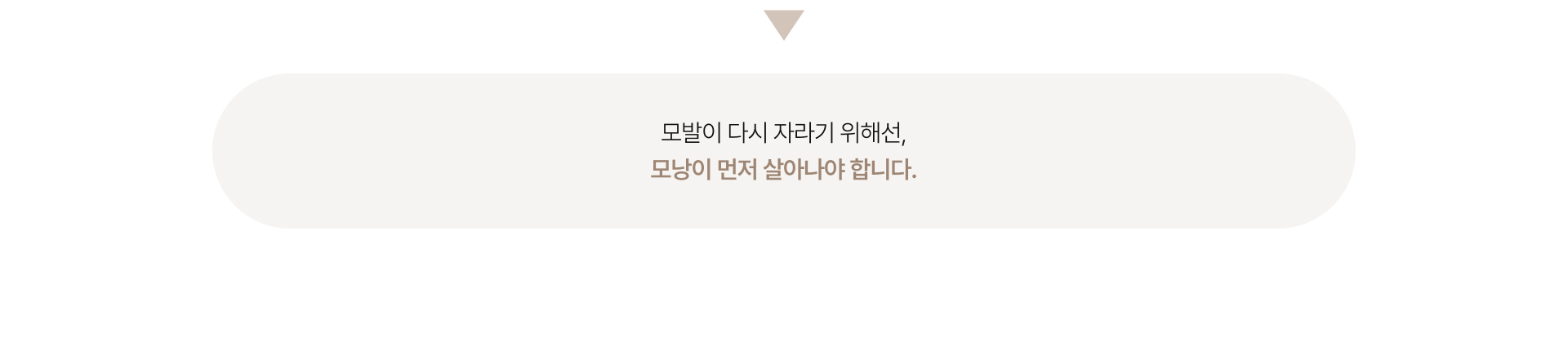 메디컬탈모클리닉 상세02