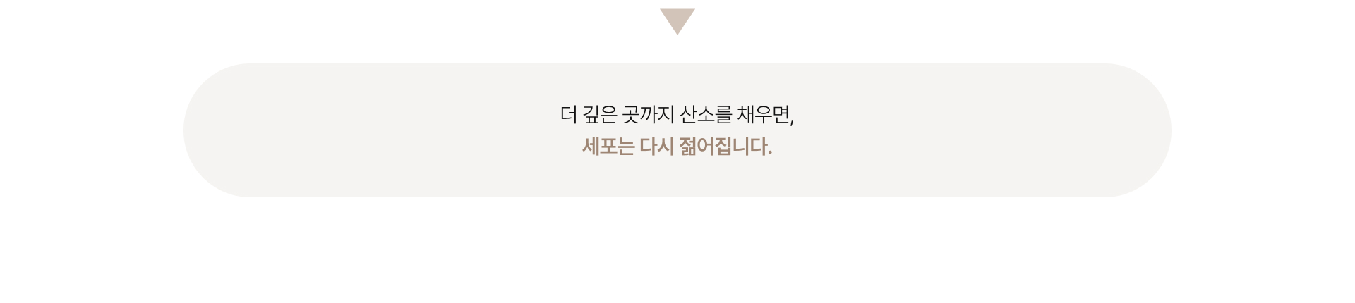 고압산소치료센터 상세02