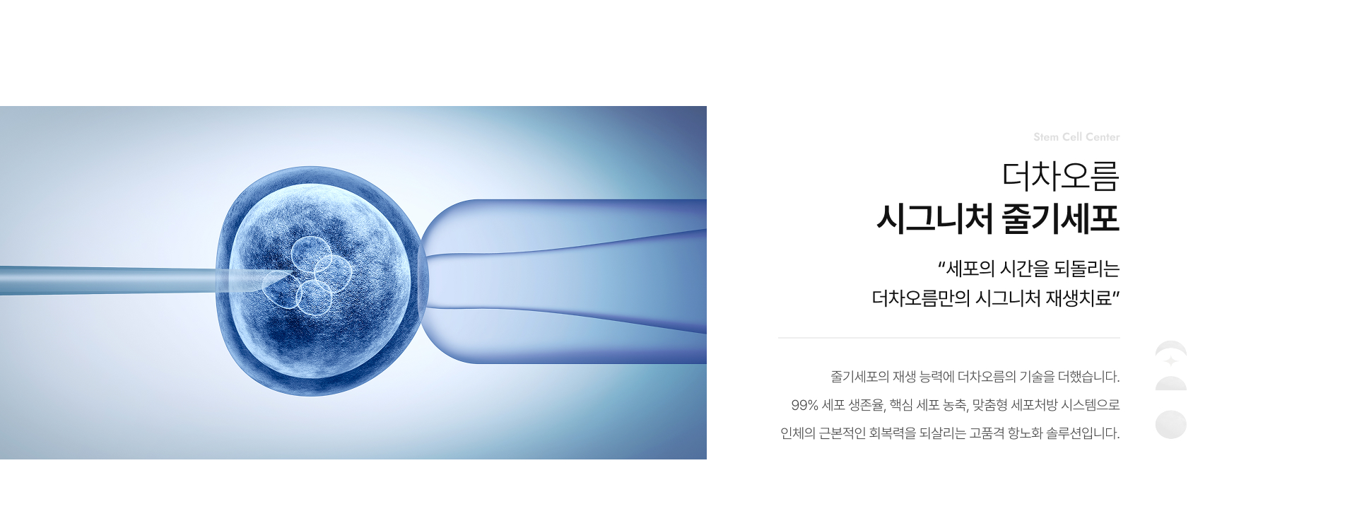 시그니처줄기세포 상세01