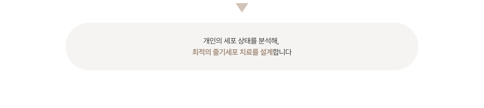 시그니처줄기세포 상세02