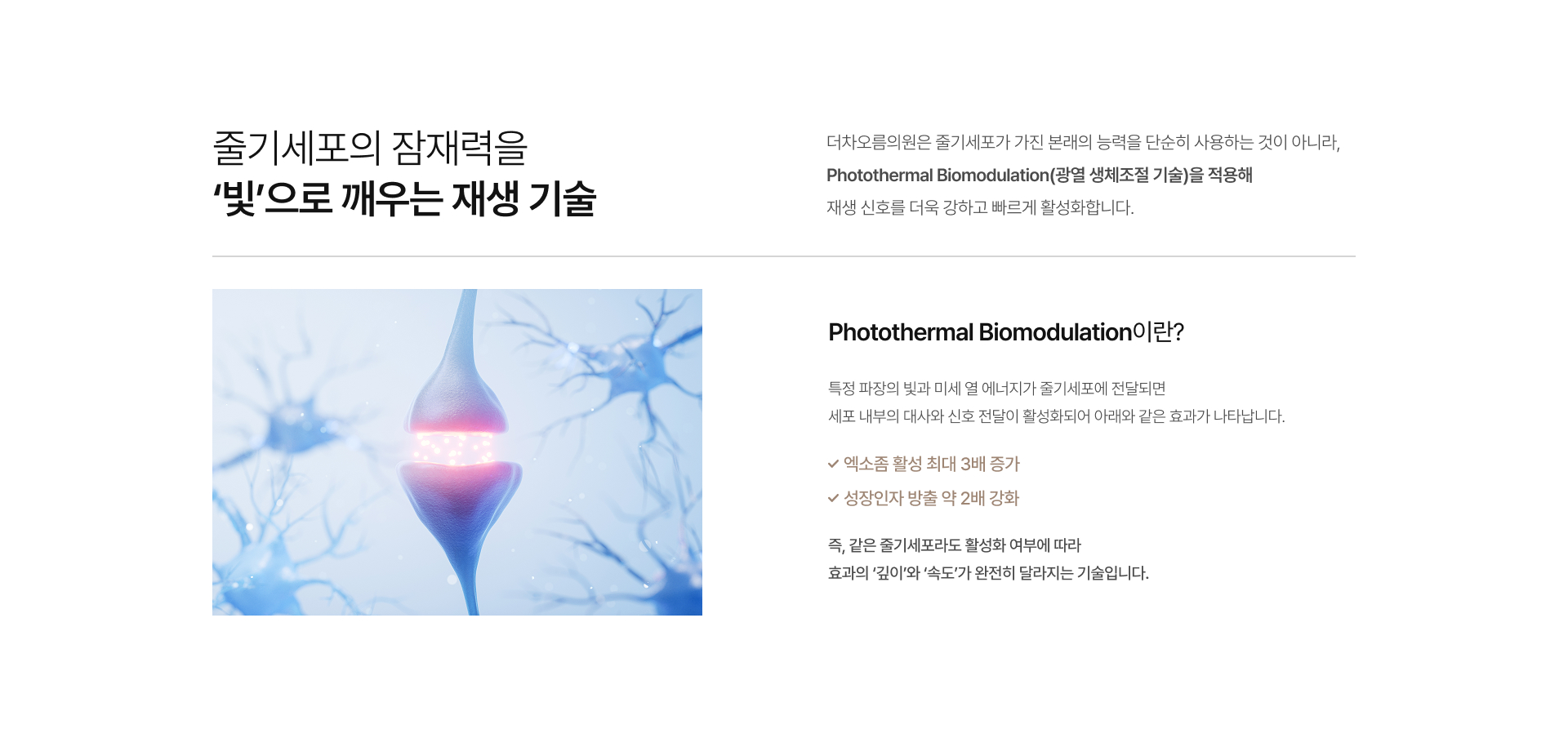 시그니처줄기세포 상세03