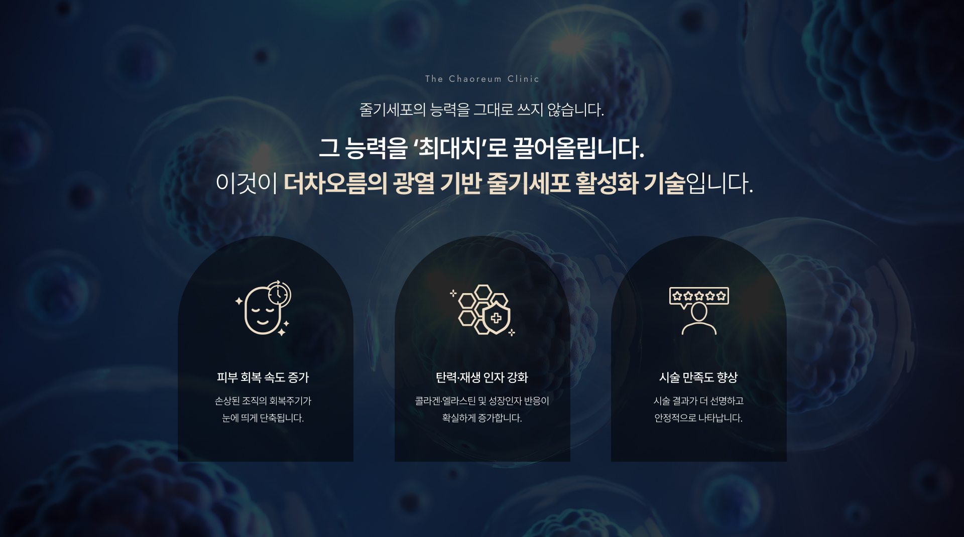 시그니처줄기세포 상세05