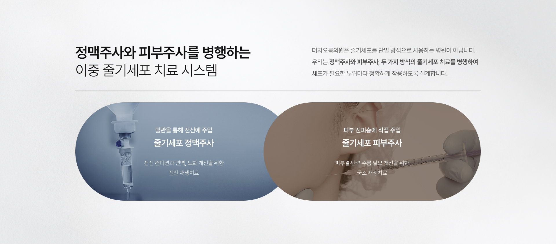 시그니처줄기세포 상세07