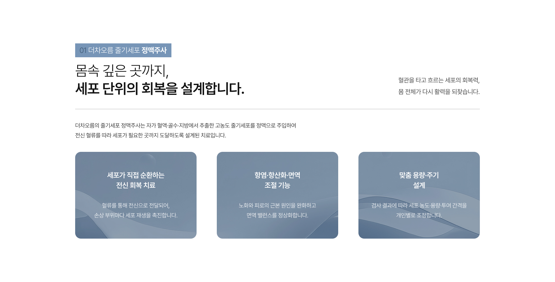 시그니처줄기세포 상세08