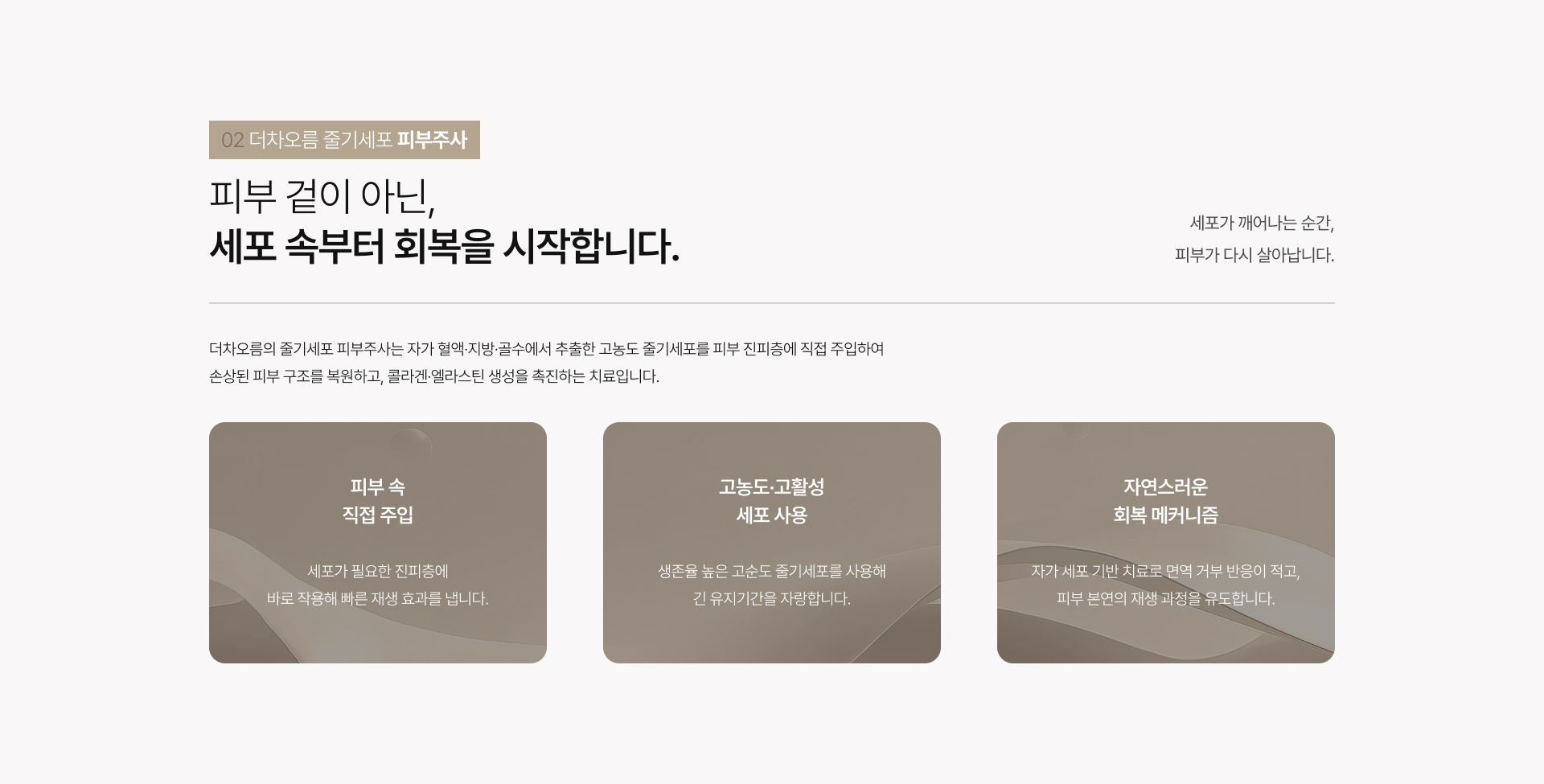 시그니처줄기세포 상세09