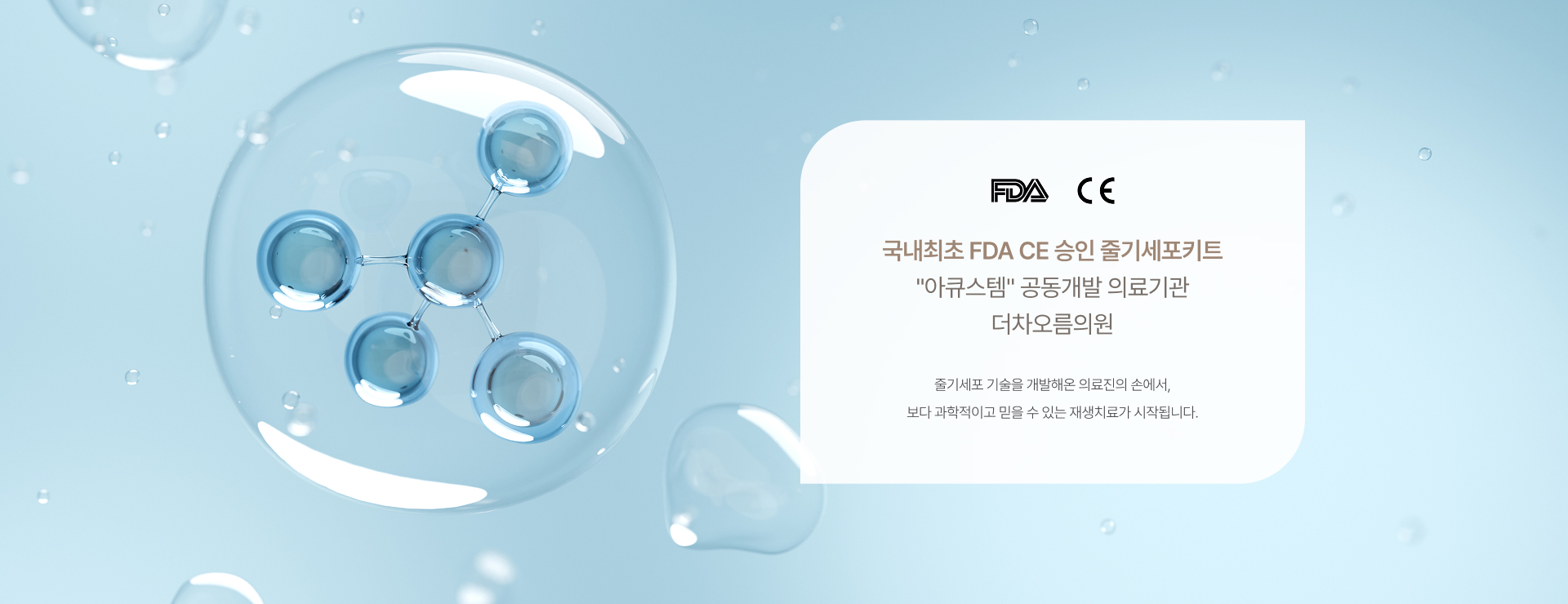 줄기세포란 상세03