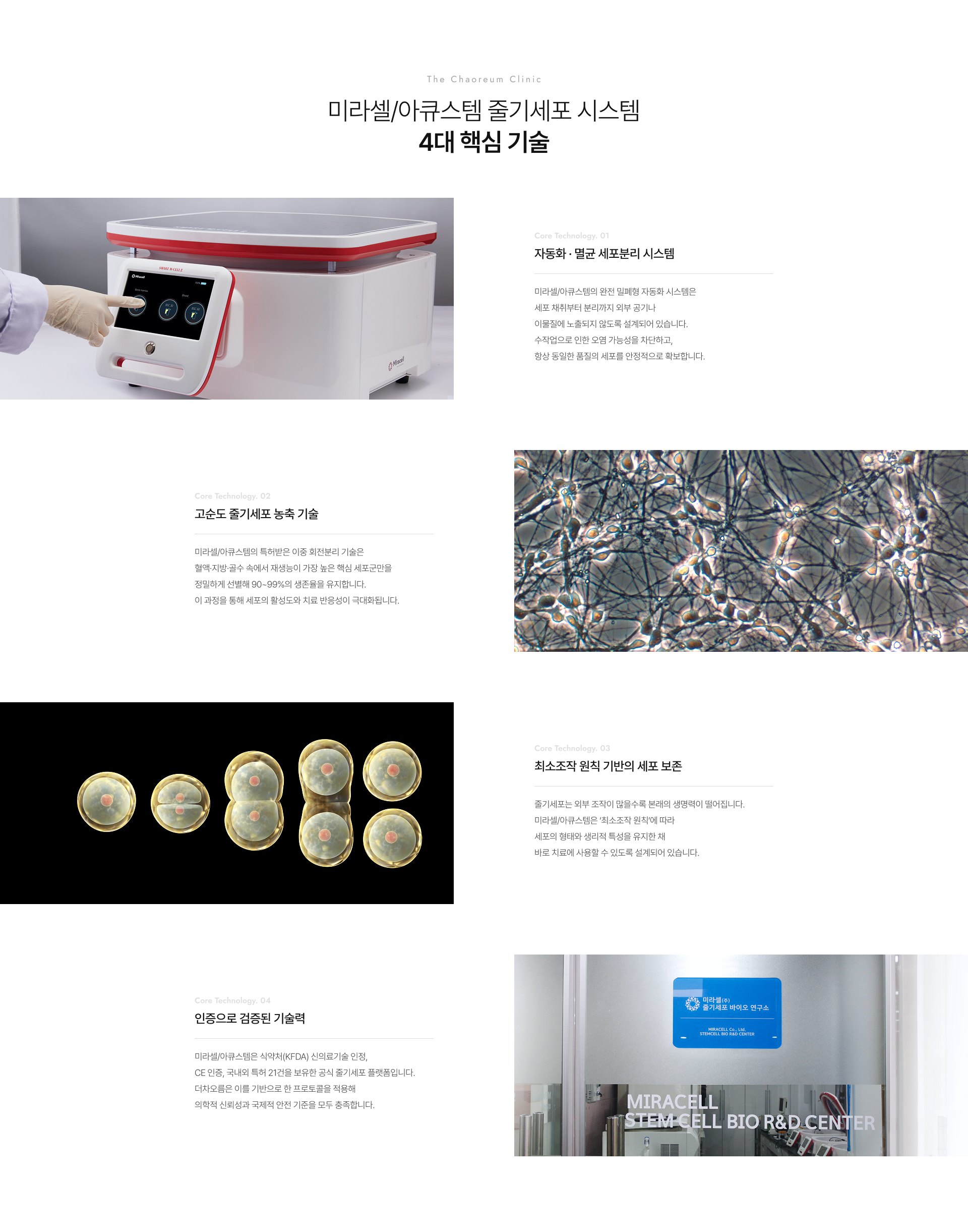 줄기세포란 상세05