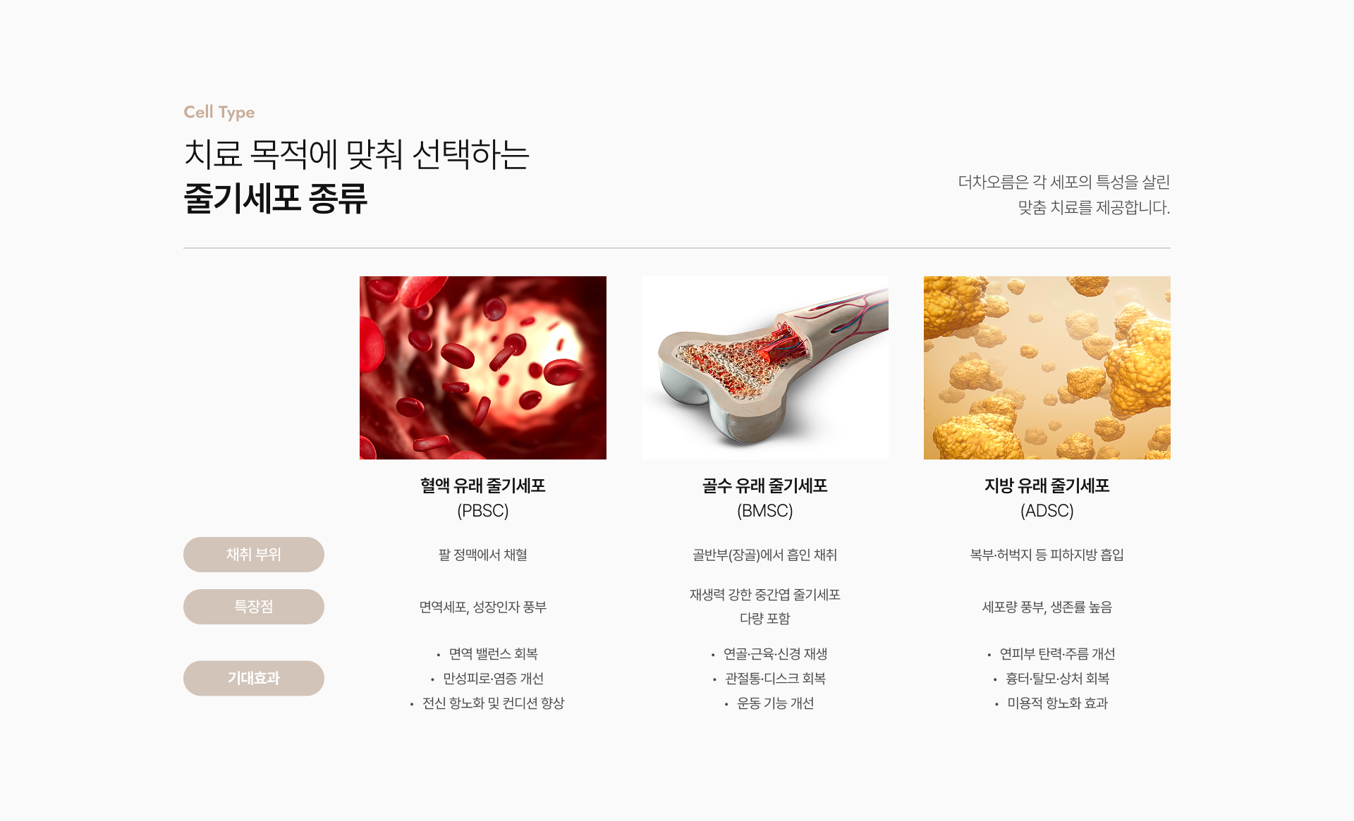 줄기세포란 상세06