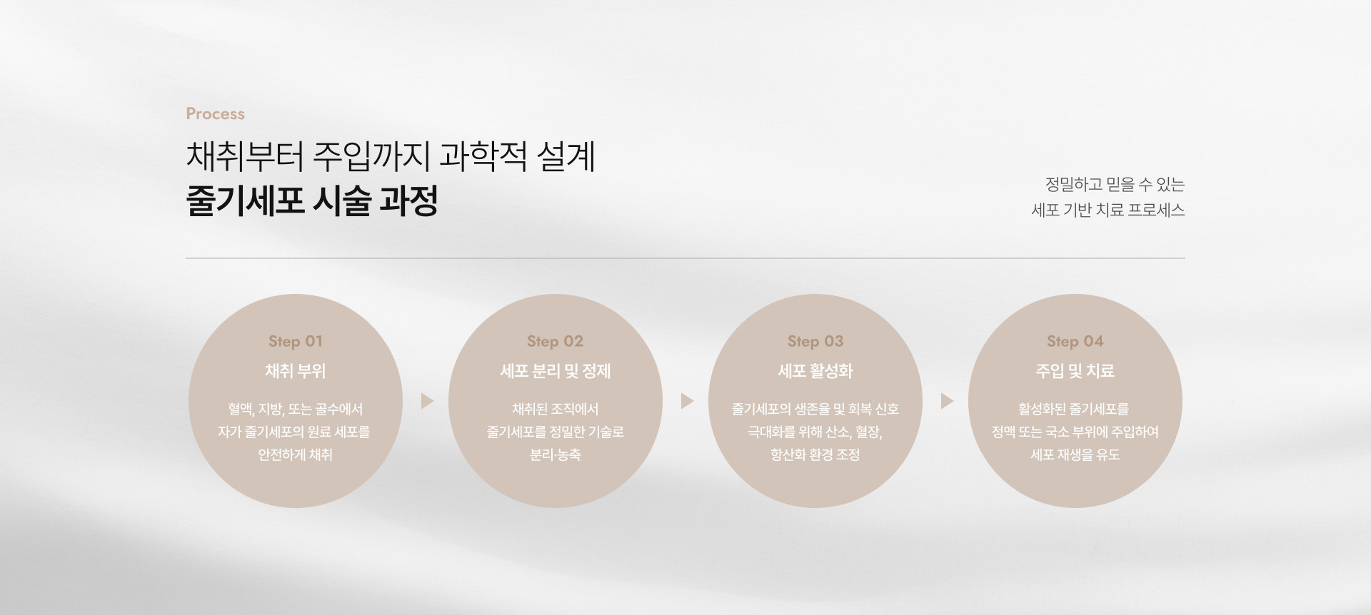 줄기세포란 상세07